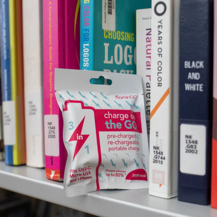 About Flamingo Charger – Smart & Sustainable EV Charging